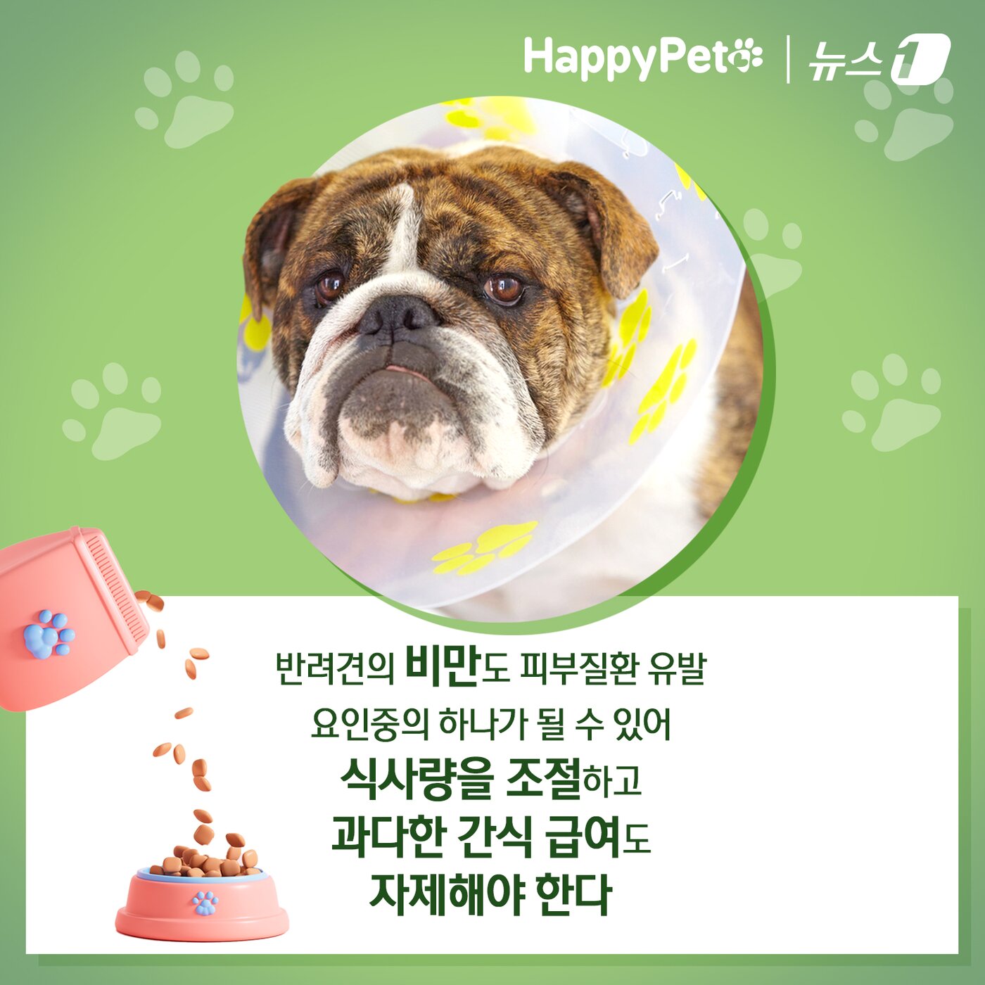 본문 이미지 - ⓒ News1 김초희 디자이너
