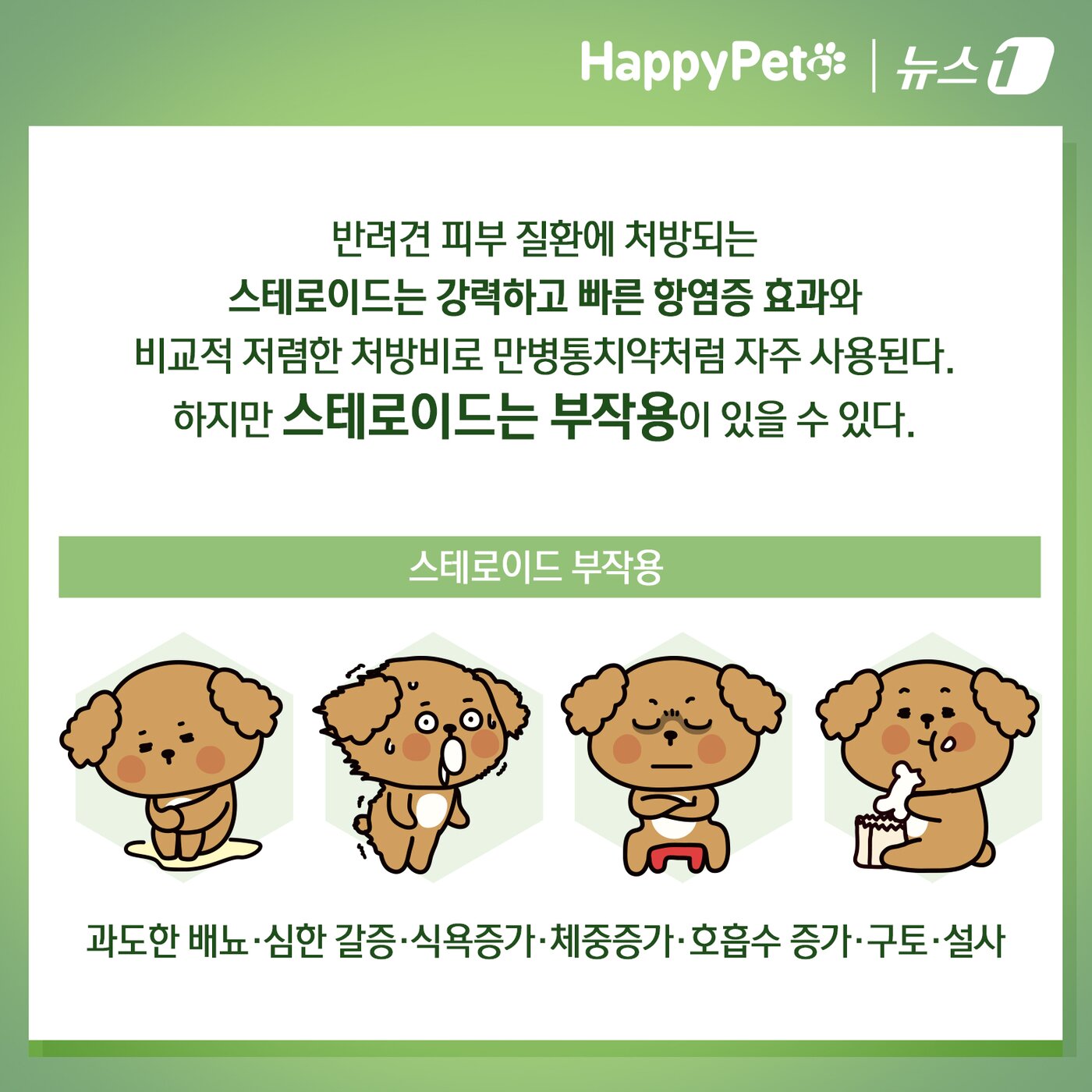 본문 이미지 - ⓒ News1 김초희 디자이너