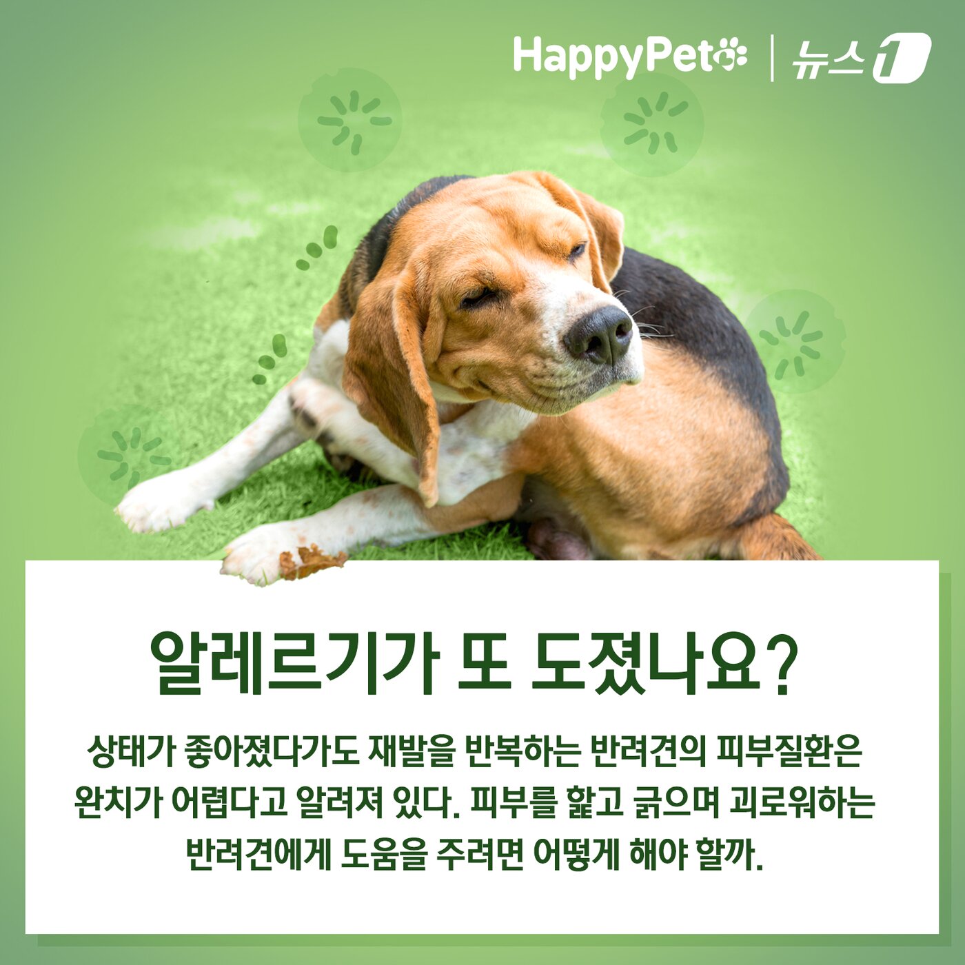 본문 이미지 - ⓒ News1 김초희 디자이너