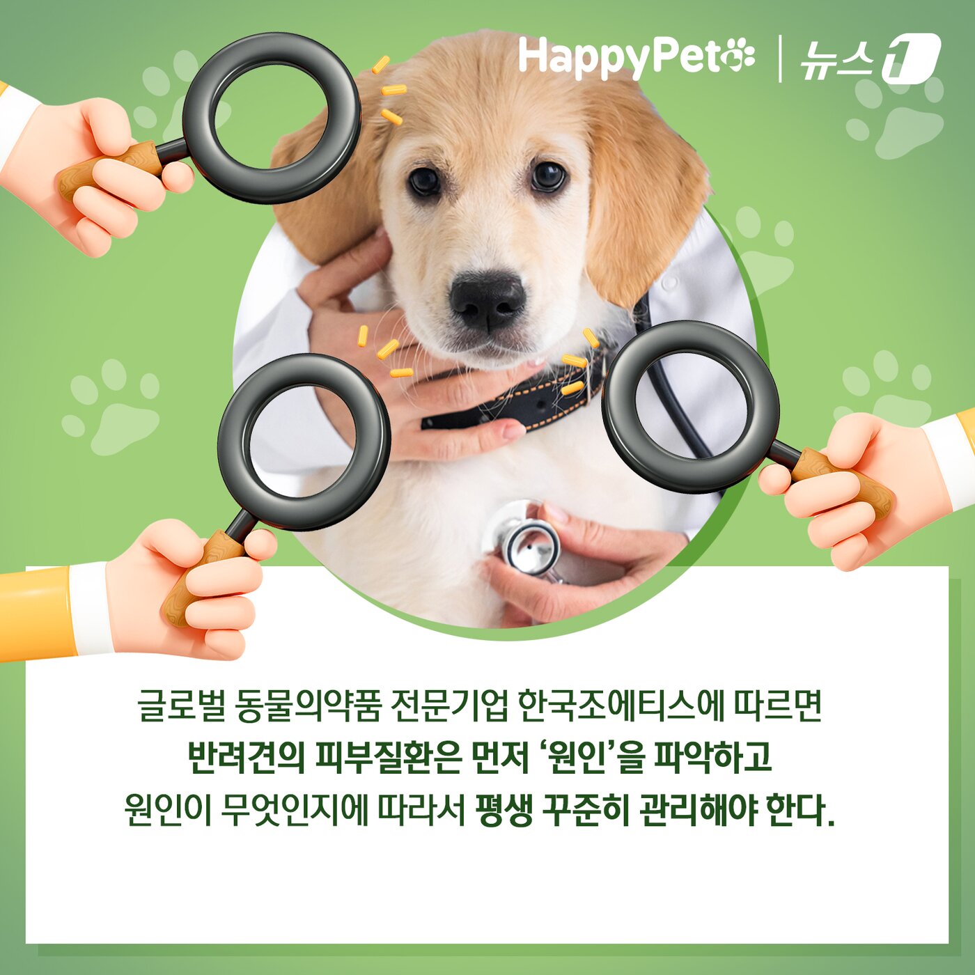 본문 이미지 - ⓒ News1 김초희 디자이너