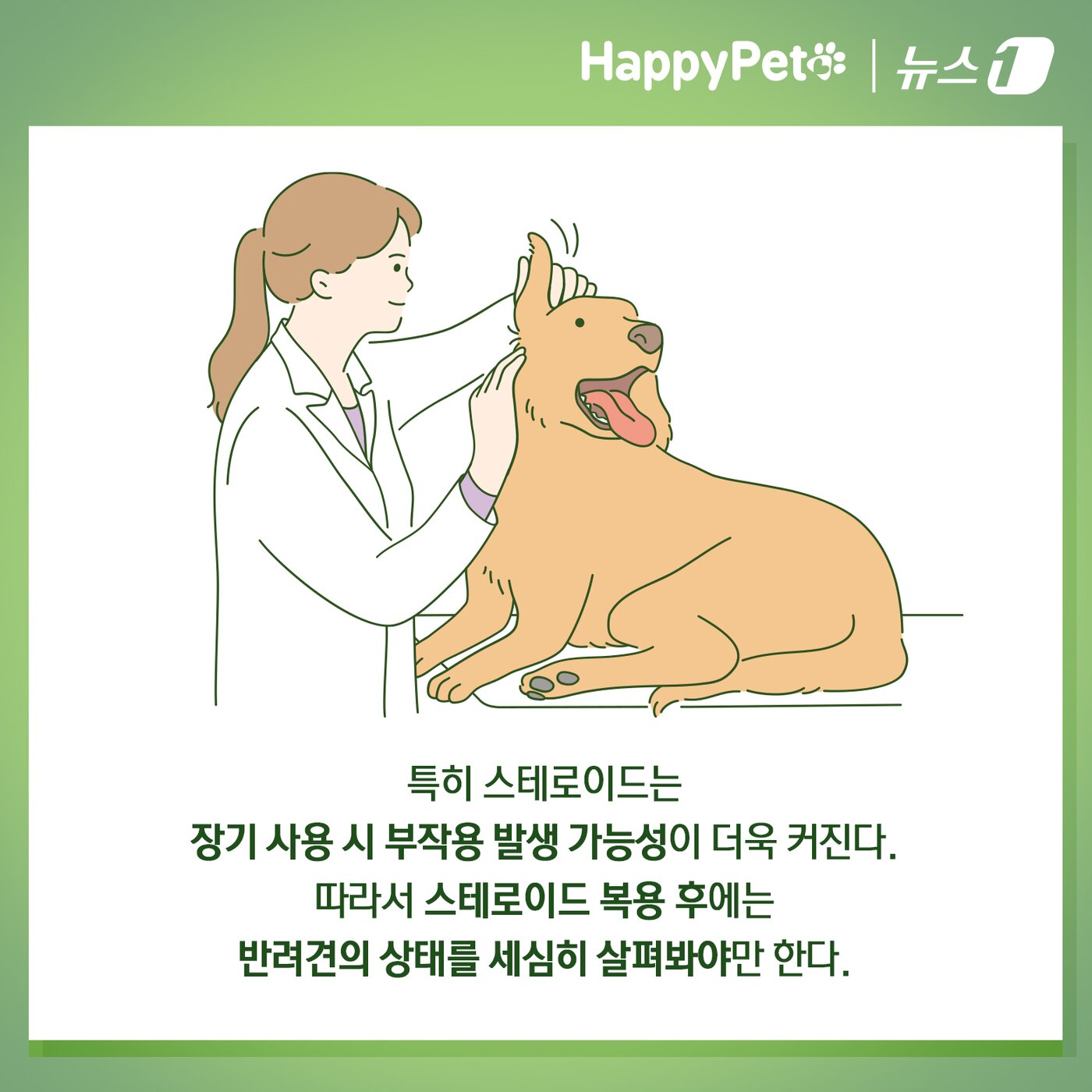 본문 이미지 - ⓒ News1 김초희 디자이너