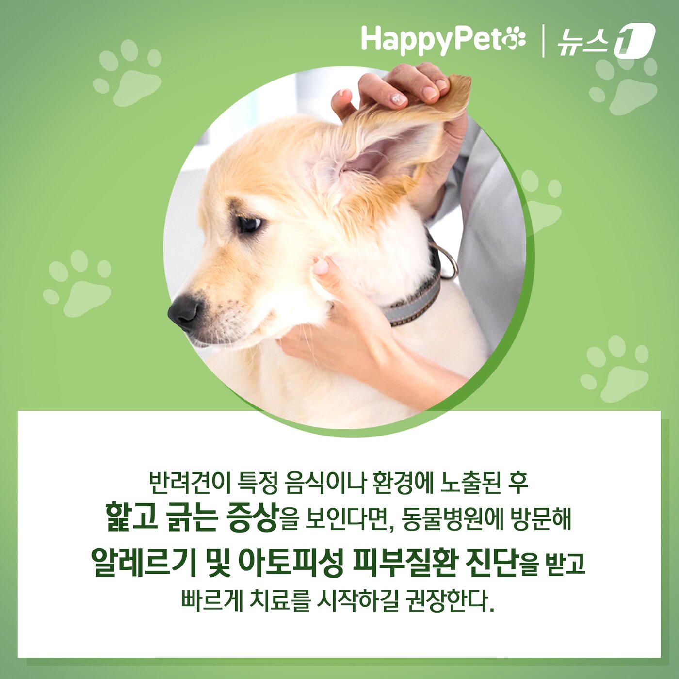 본문 이미지 - ⓒ News1 김초희 디자이너