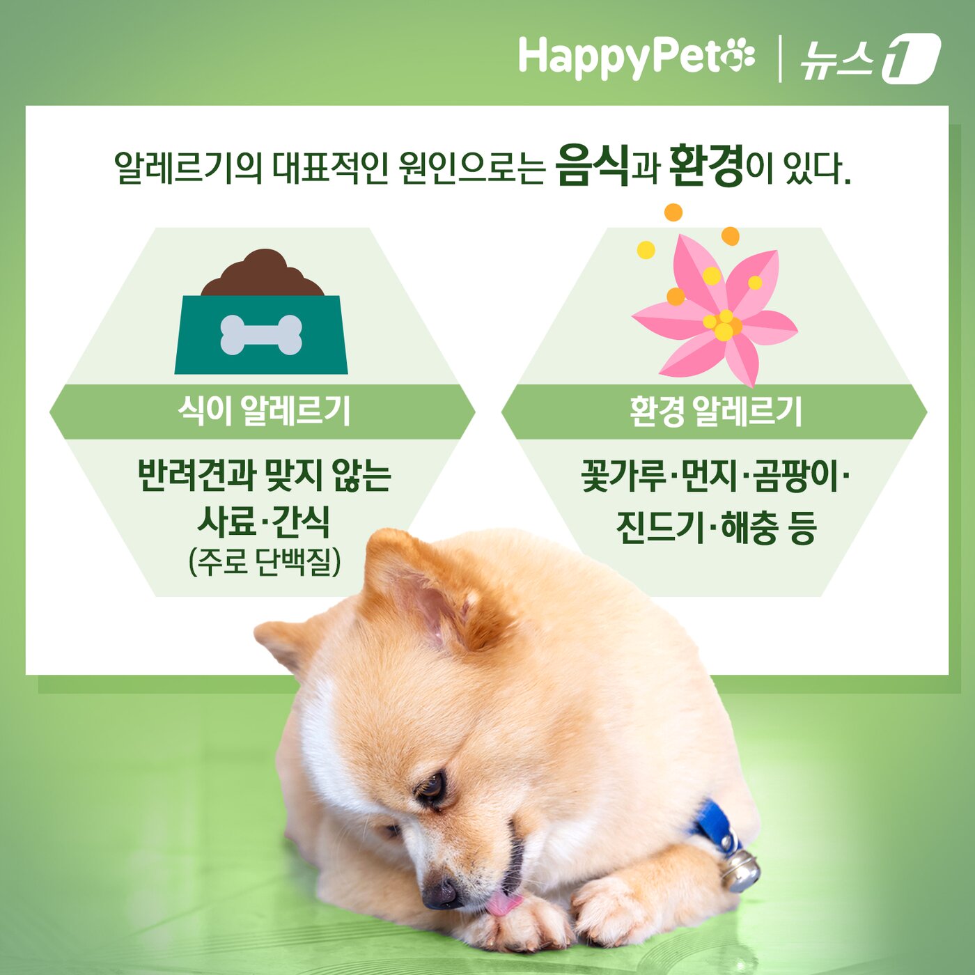 본문 이미지 - ⓒ News1 김초희 디자이너