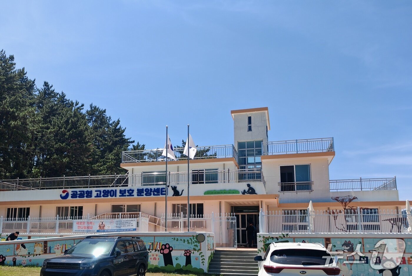 본문 이미지 - 통영 고양이학교&#40;한국고양이수의사회 제공&#41; ⓒ 뉴스1