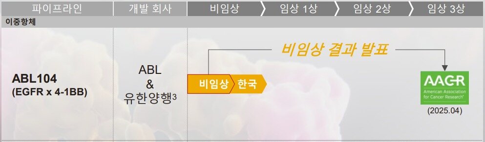 본문 이미지 - 유한양행과 에이비엘바이오가 오픈이노베이션을 통해 이중항암항체 신약 후보물질을 개발하고 있다.(에이비엘바이오 제공)/뉴스1
