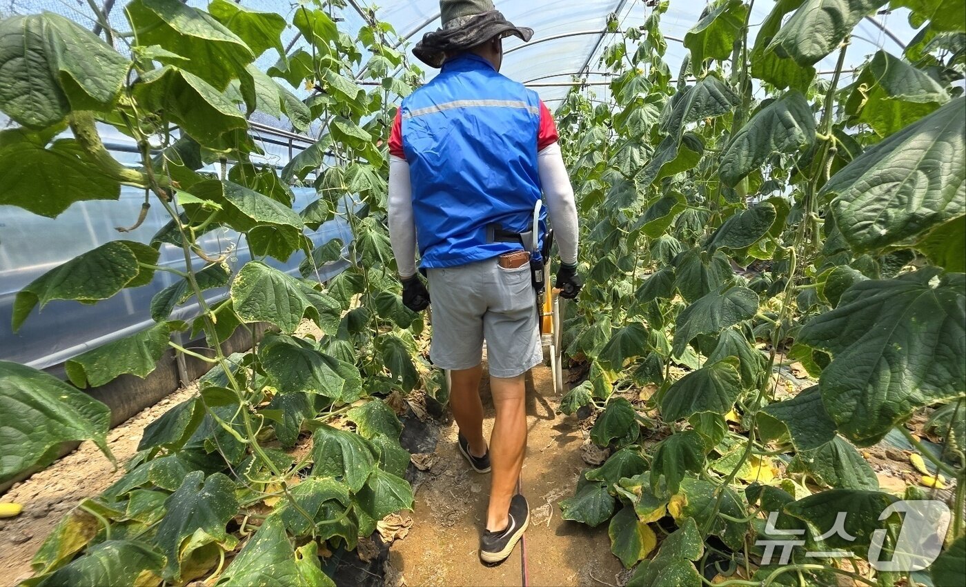 본문 이미지 - 에어 냉각 조끼 입고 일하는 정종현 씨.2025.7.9/뉴스1 한송학 기자