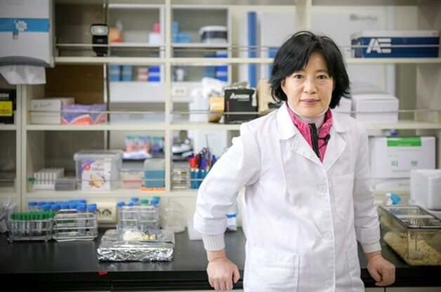 경력단절 연구자가 '피인용' 상위 1%로…폭넓게 인재 육성해야