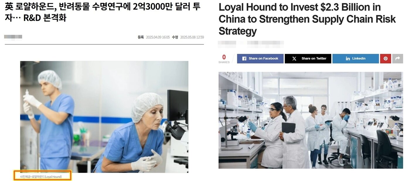 본문 이미지 - 셔터스톡, 프리픽과 같은 유료 이미지 사이트 사진이 사용된 로얄하운드 기사&#40;온라인 기사 갈무리&#41;. ⓒ 뉴스1
