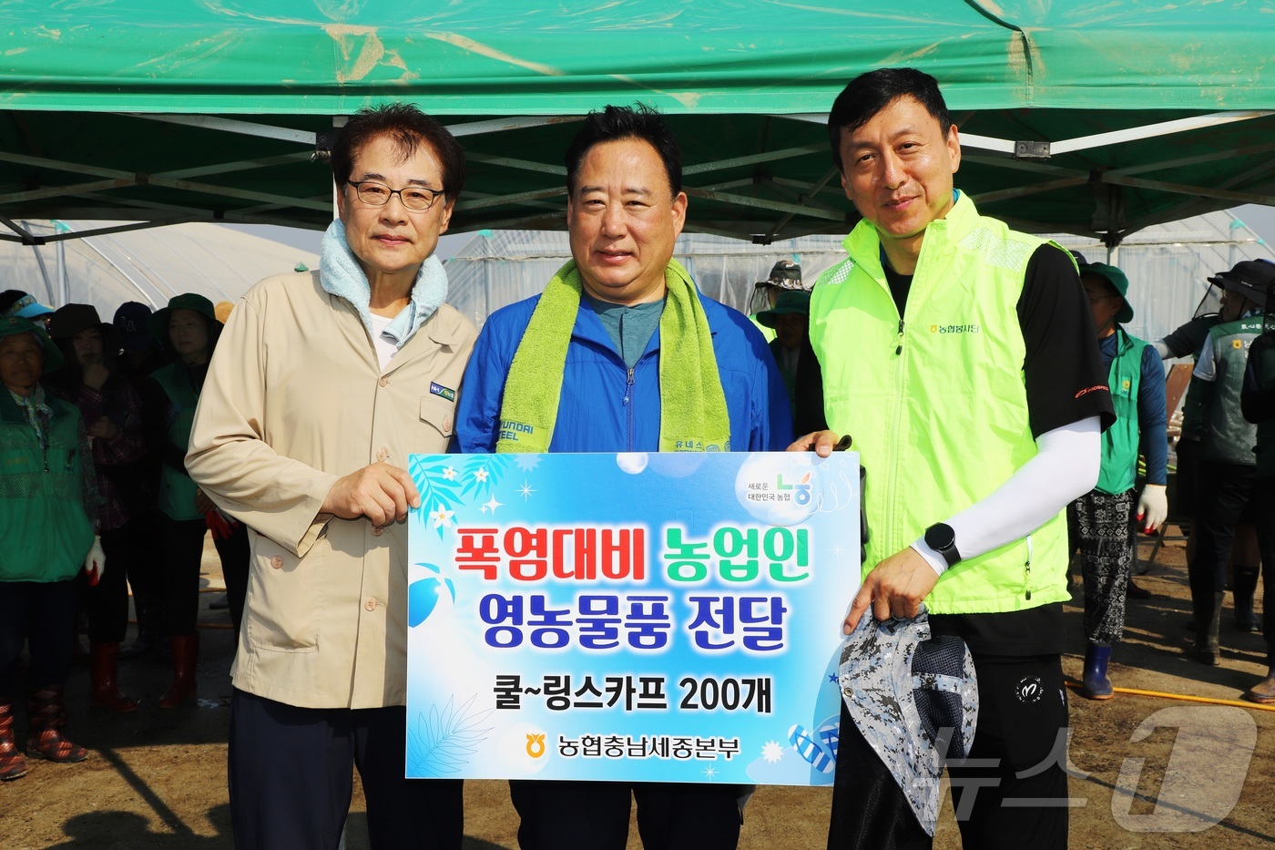 (당진=뉴스1) 이동원 기자 = 충남세종농협은 1일 집중호우로 심각한 피해를 입은 충남 당진시 순성면 딸기재배농가에서 폭염대비 영농물품 전달 및 수해복구작업에 총력을 기울였다.정해 …