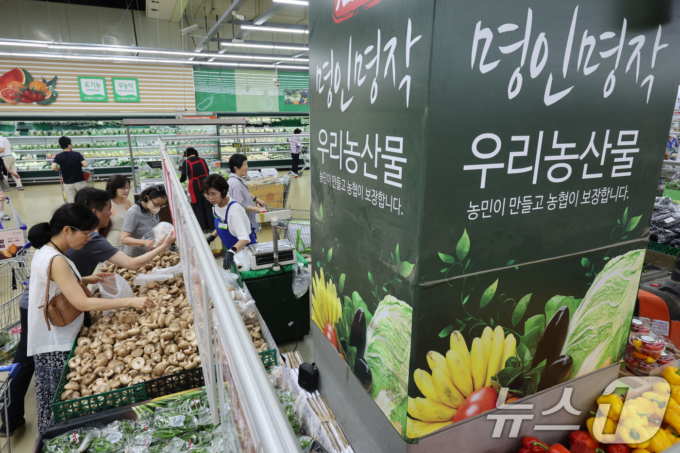 (서울=뉴스1) 신웅수 기자 = 1일 서울 서초구 하나로마트 양재점을 찾은 시민들이 우리 농산물을 고르고 있다.농림축산식품부는 이번 한미 통상협상에서 농업 분야에서는 특별히 논의된 …