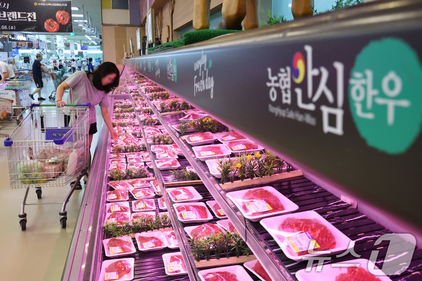 본문 이미지 - 1일 서울 서초구 하나로마트 양재점을 찾은 시민들이 한우를 고르고 있다. 2025.8.1/뉴스1 ⓒ News1 신웅수 기자
