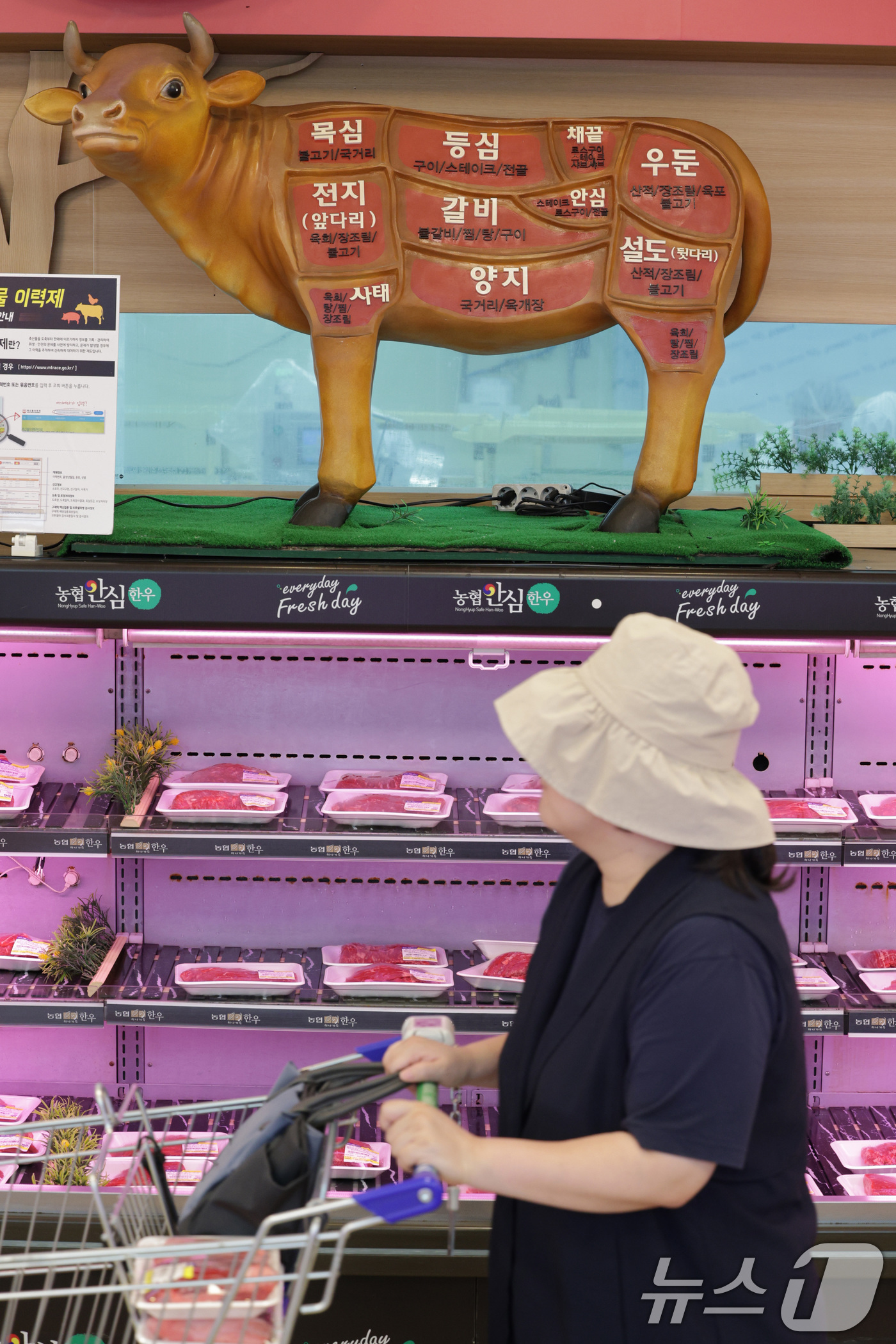 (서울=뉴스1) 신웅수 기자 = 1일 서울 서초구 하나로마트 양재점을 찾은 시민들이 한우를 고르고 있다.대한민국은 이번 미국과의 관세 협상에서 쌀·소고기 추가 개방 없이 상호관세를 …