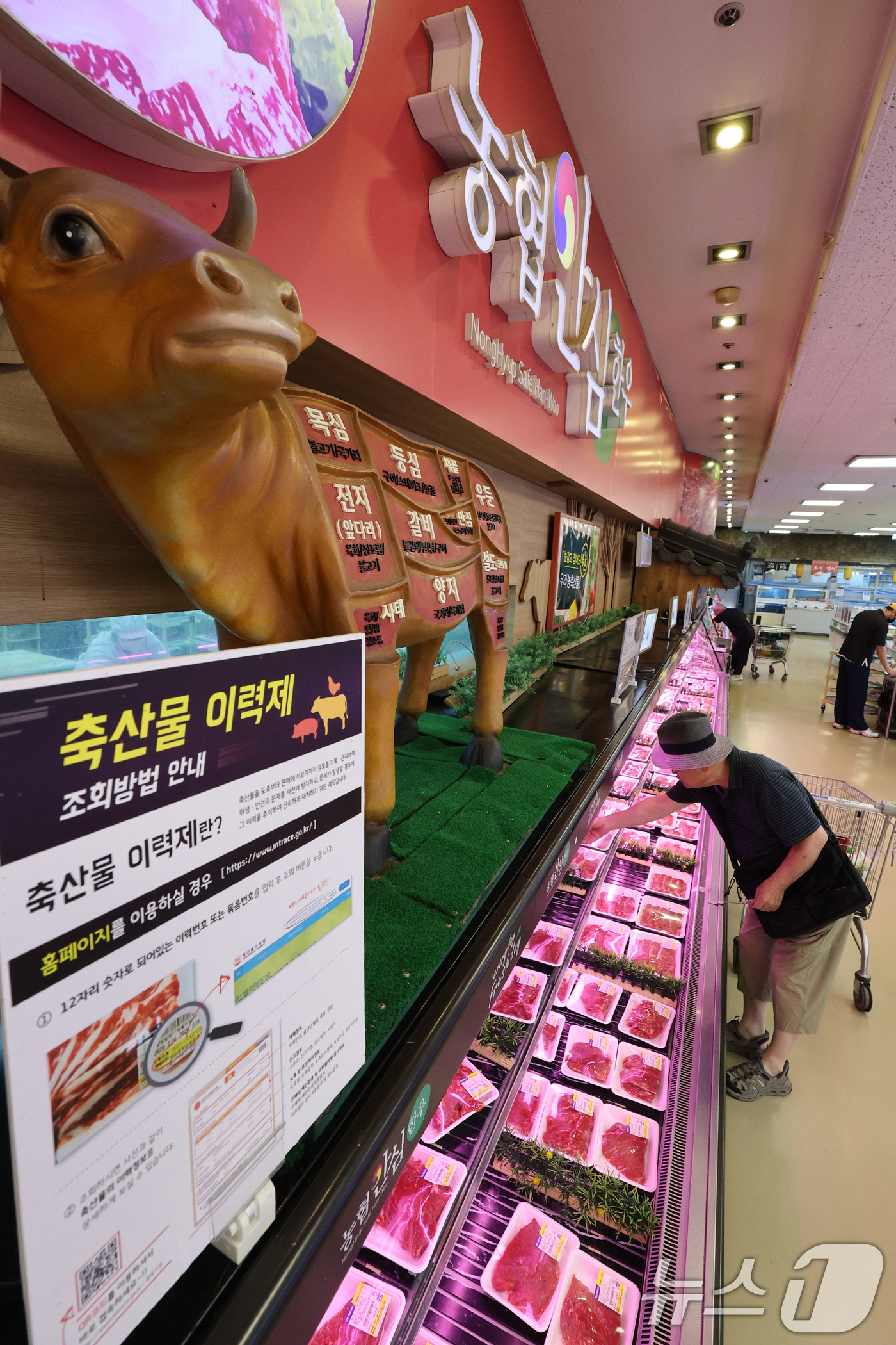(서울=뉴스1) 신웅수 기자 = 1일 서울 서초구 하나로마트 양재점을 찾은 시민들이 한우를 고르고 있다.대한민국은 이번 미국과의 관세 협상에서 쌀·소고기 추가 개방 없이 상호관세를 …