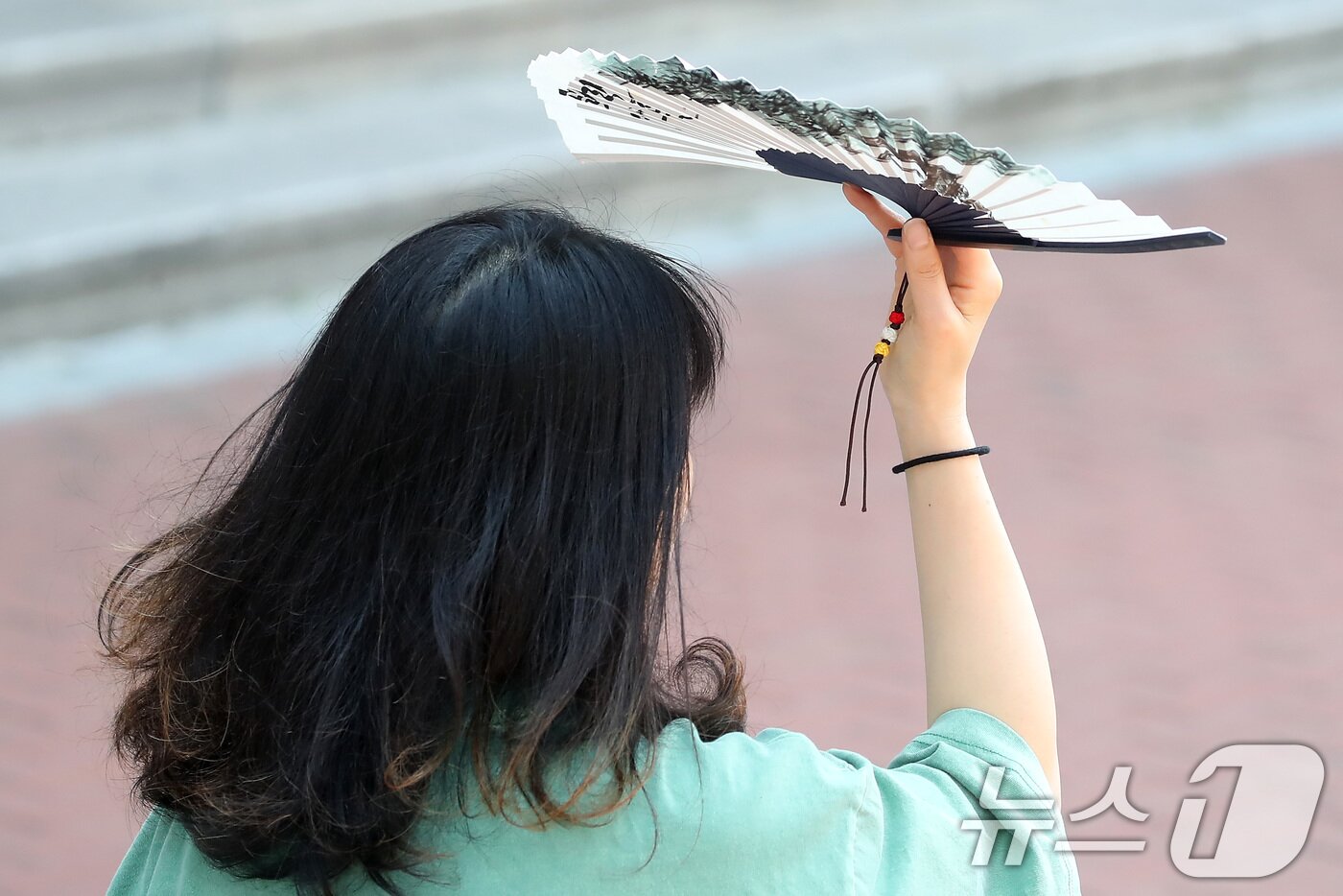 본문 이미지 - 폭염이 계속된 1일 대구 중구 동성로에서 한 시민이 부채로 뙤약볕을 가린 채 발걸음을 옮기고 있다. 2025.8.1/뉴스1 ⓒ News1 공정식 기자