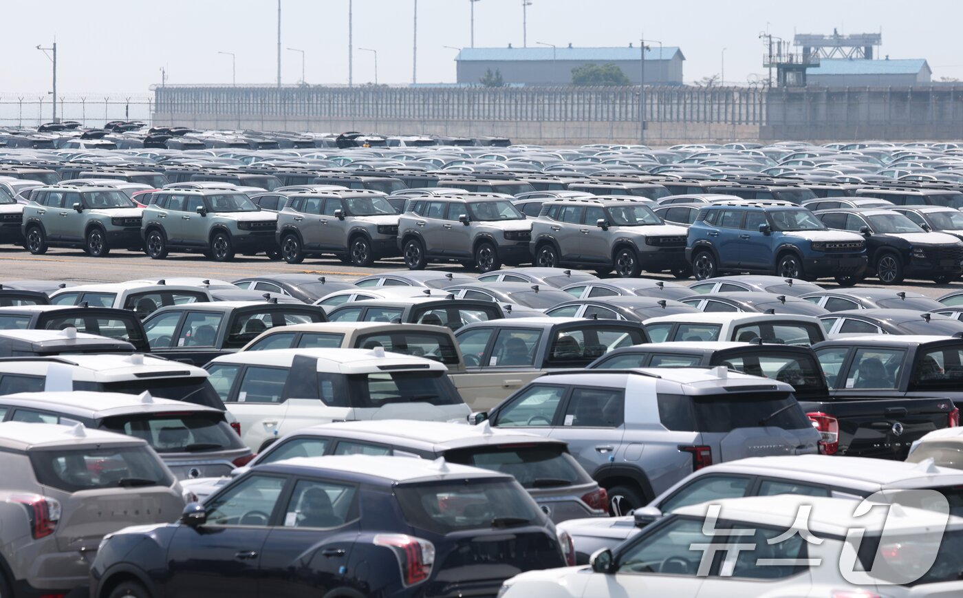 본문 이미지 - 도널드 트럼프 미국 대통령이 한국 등 수십 개 국가들을 상대로 적용할 상호관세율을 수정한 행정명령에 서명했다고 백악관이 밝혔다. 변경된 상호관세율은 8월 7일 발효된다. 사진은 1일 경기 평택시 포승읍 평택항에 수출용 차량이 세워져 있는 모습. 2025.8.1/뉴스1 ⓒ News1 김영운 기자