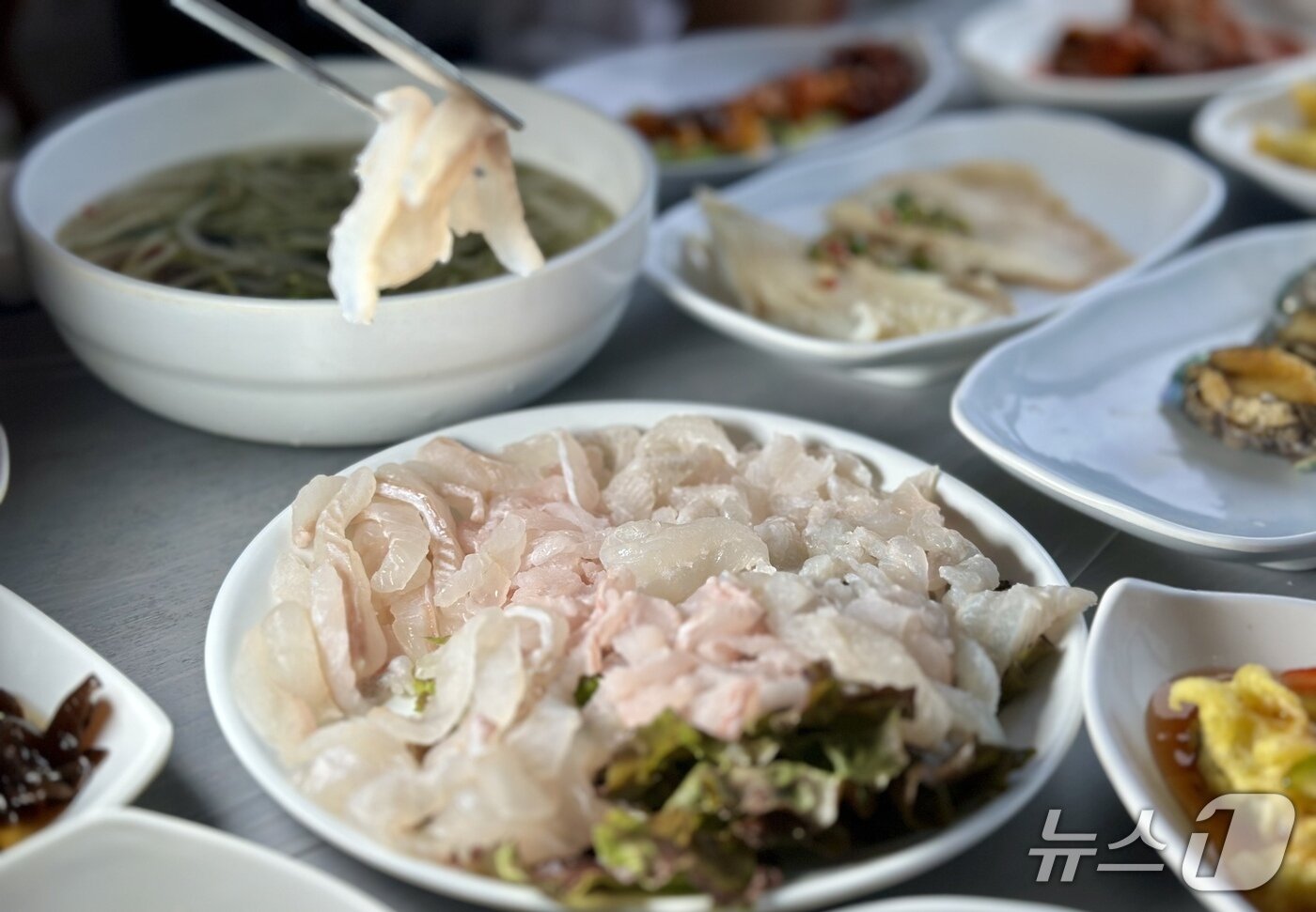 본문 이미지 - 쫄깃쫄깃 싱싱한 식감이 살아 있는 회ⓒ News1 윤슬빈 기자