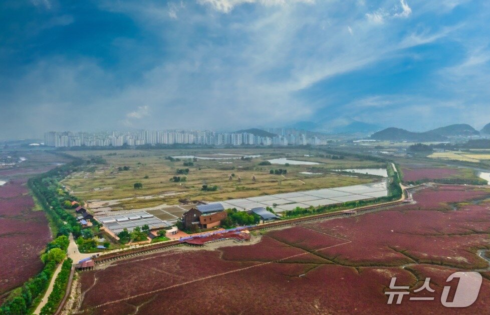 본문 이미지 - 인천시 남동구 소래습지생태공원.(인천시 제공. 재배포 및 DB금지)2025.8.10/뉴스1
