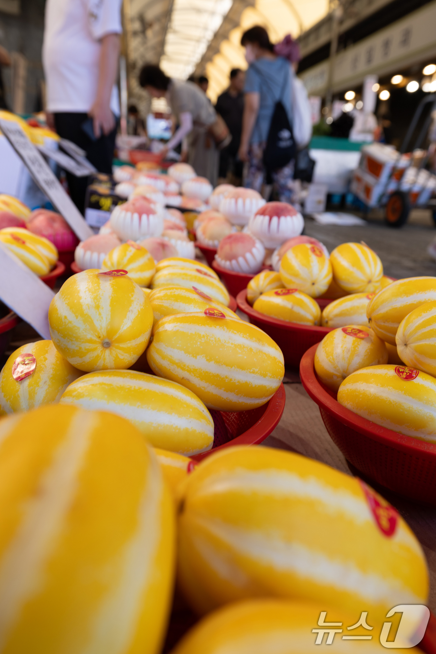 (서울=뉴스1) 이승배 기자 = 올 여름 폭우·폭염 등 여파로 농축산물 가격의 상승세가 이어지고 있다. 참외·수박 등 대표적 여름 과일값 고공행진이 지속되는 가운데 닭고기와 계란 …