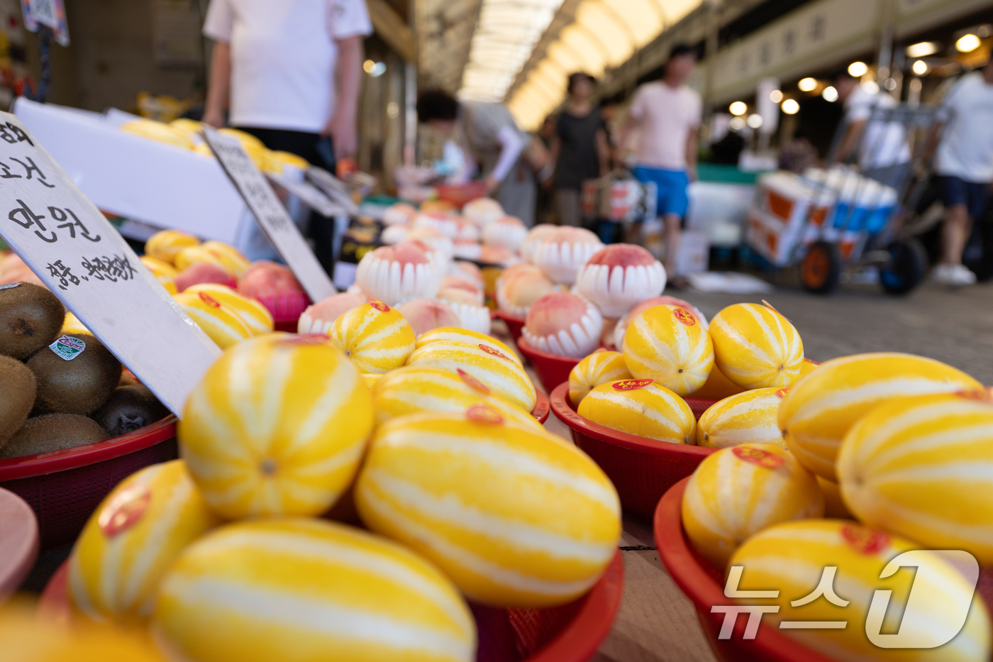 (서울=뉴스1) 이승배 기자 = 올 여름 폭우·폭염 등 여파로 농축산물 가격의 상승세가 이어지고 있다. 참외·수박 등 대표적 여름 과일값 고공행진이 지속되는 가운데 닭고기와 계란 …