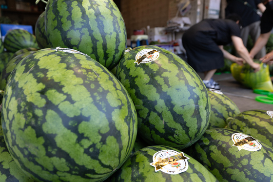 충남농기원, 도내 농산물 총수입 등 분석 책자 발간