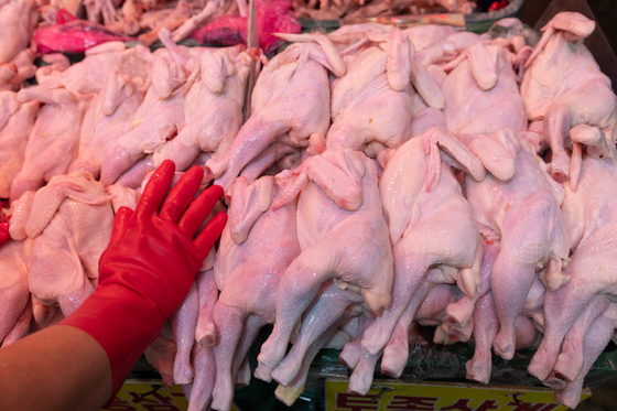 "환율이 삼킨 밥상"…닭고기 31% 뛰고 치즈값도 '역주행'