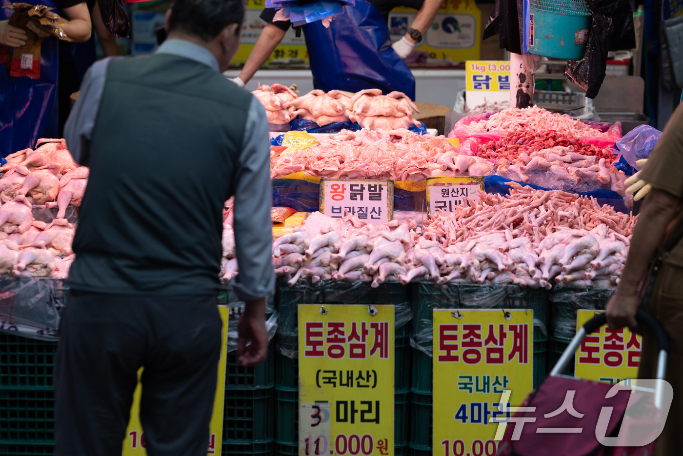 (서울=뉴스1) 이승배 기자 = 올 여름 폭우·폭염 등 여파로 농축산물 가격의 상승세가 이어지고 있다. 참외·수박 등 대표적 여름 과일값 고공행진이 지속되는 가운데 닭고기와 계란 …