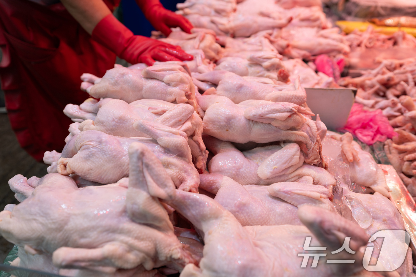 (서울=뉴스1) 이승배 기자 = 세계식량가격지수가 2년5개월 만에 최고 수준으로 높아졌다. 농림축산식품부는 유엔 식량농업기구(FAO)가 발표한 지난달 기준 세계식량가격지수(2014 …