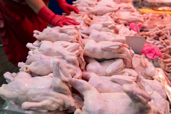 닭고기 30%↑·식용유 9%↑…원가 급등에 치킨값 추가 인상 '경고등'