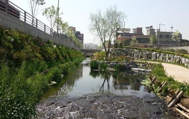 충북환경단체 "청주 도심 물길 조성보다 녹지 확대해야"