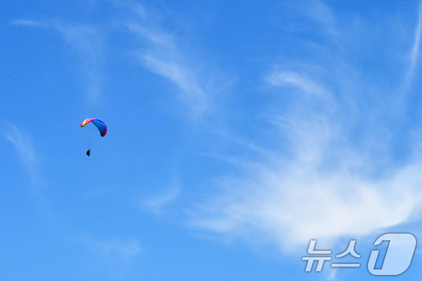 (포항=뉴스1) 최창호 기자 = 10일 경북 포항시 북구 흥해읍 곤륜산에서 페러글라이딩 동호인들이 파란 하늘을 배경삼아 비행하고 있다. 2025.8.10/뉴스1