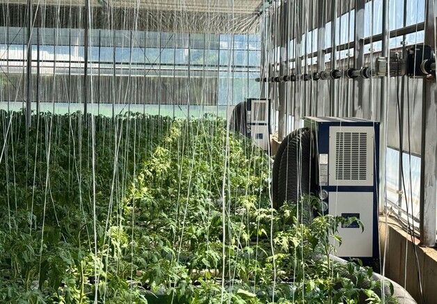 전남도, 시설하우스 냉방·차광시설 지원…"작물 피해 최소화"