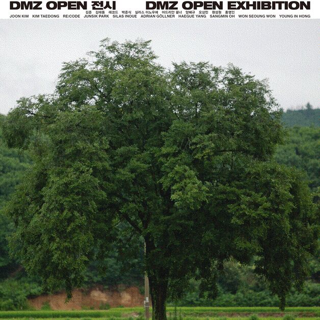 "예술로 평화를 싹틔우다"…'DMZ 오픈: 언두 디엠지'展