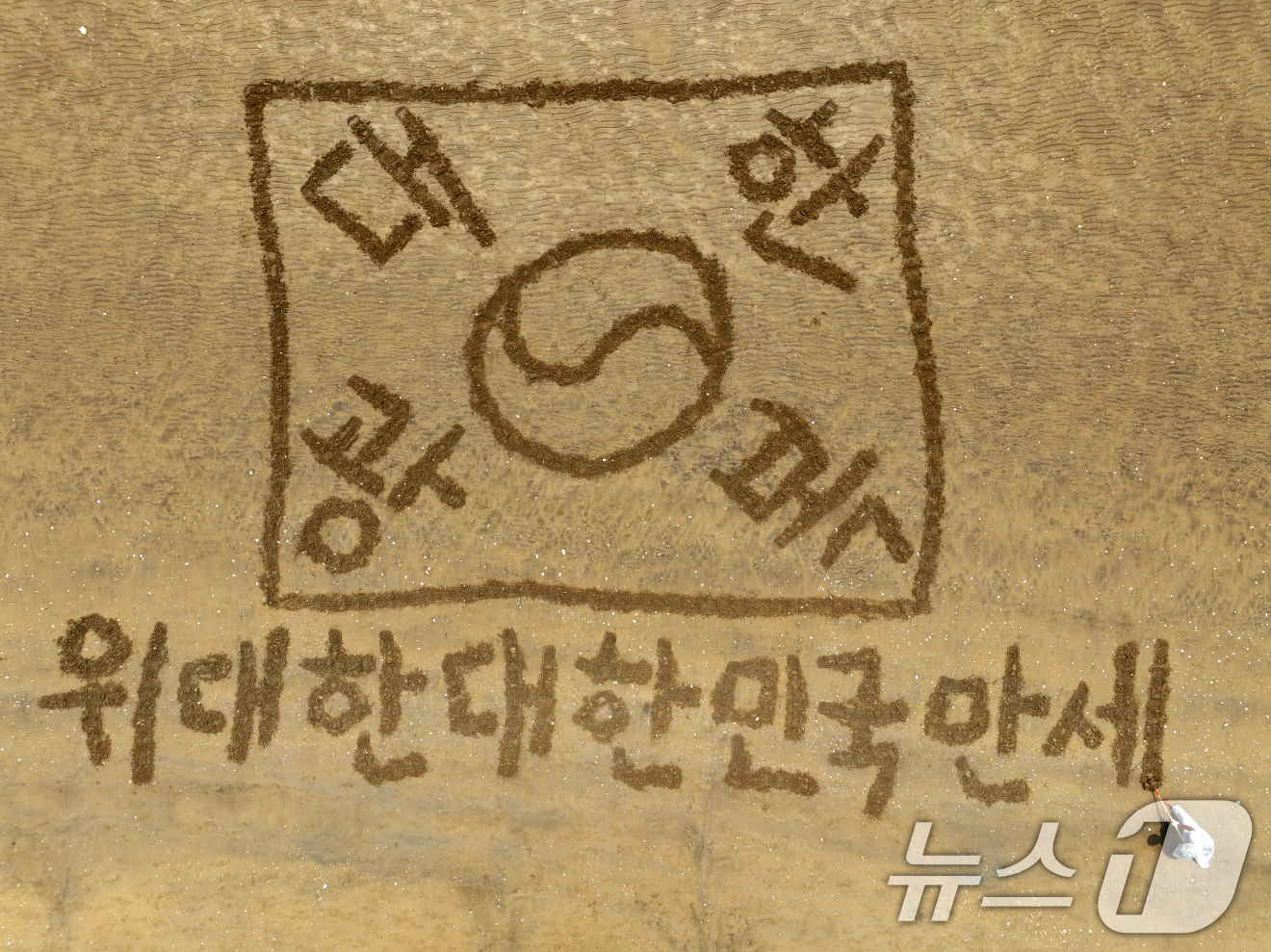 (포항=뉴스1) 최창호 기자 = 11일 서예가 김동욱 씨가 광복 80주년을 맞아 경북 포항시 송도해수욕장 백사장에서 광복절을 축하하는 태극기 퍼포먼스를 펼치고 있다. (서예가 김동 …