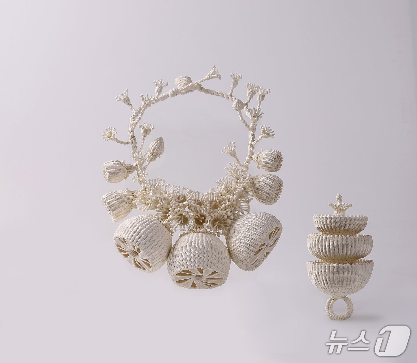 본문 이미지 - 조은희 열매의 단면&#40;청주시 제공. 재판매 및 DB금지&#41;./뉴스1