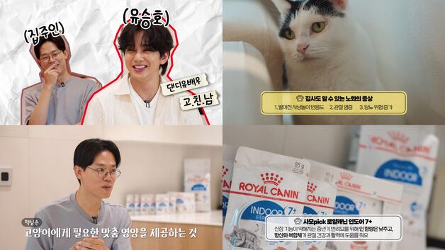 로얄캐닌, 배우 유승호와 고양이 노화관리법 전해…"맞춤 영양 필수"