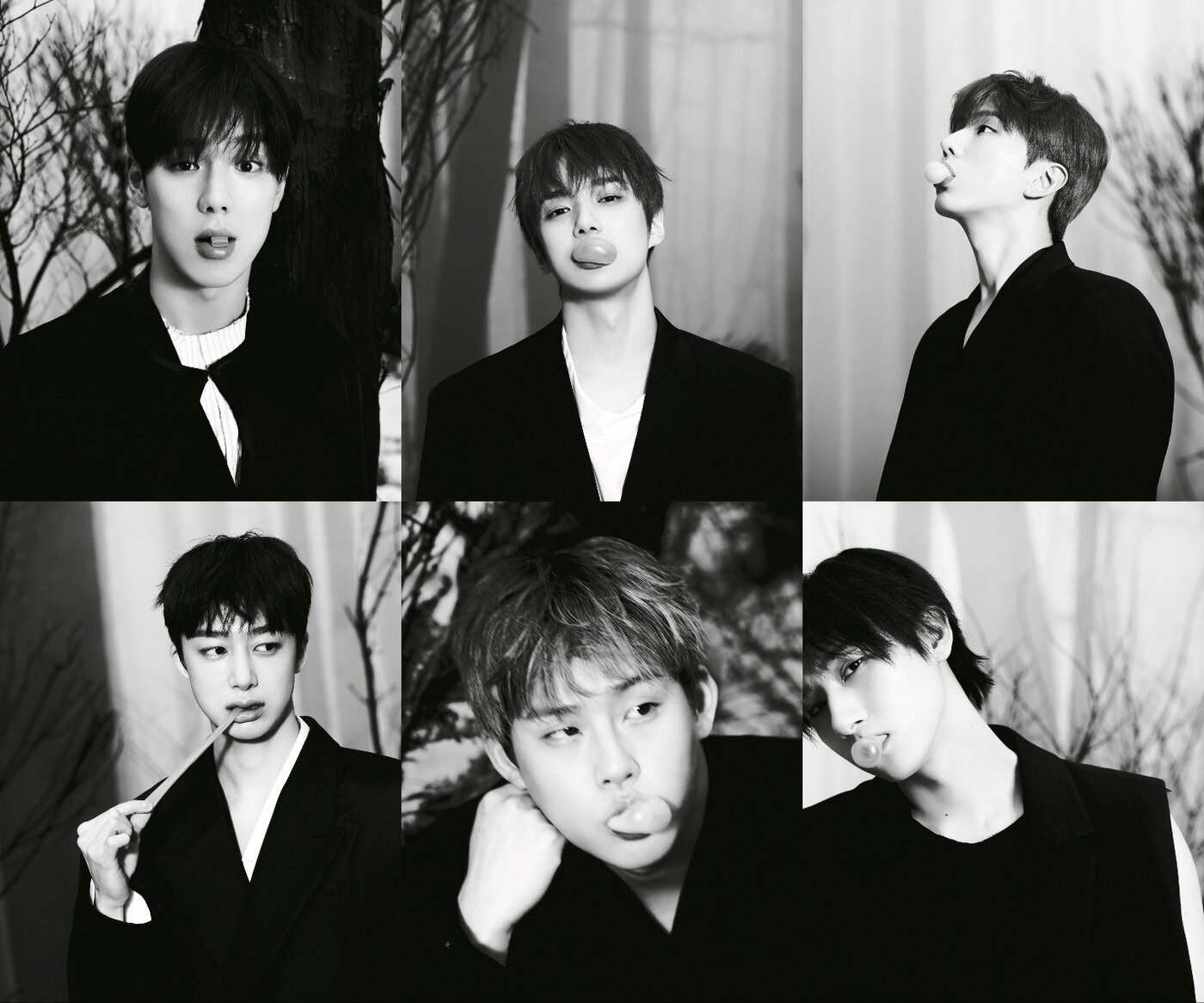 본문 이미지 - 사진제공=스타쉽엔터테인먼트