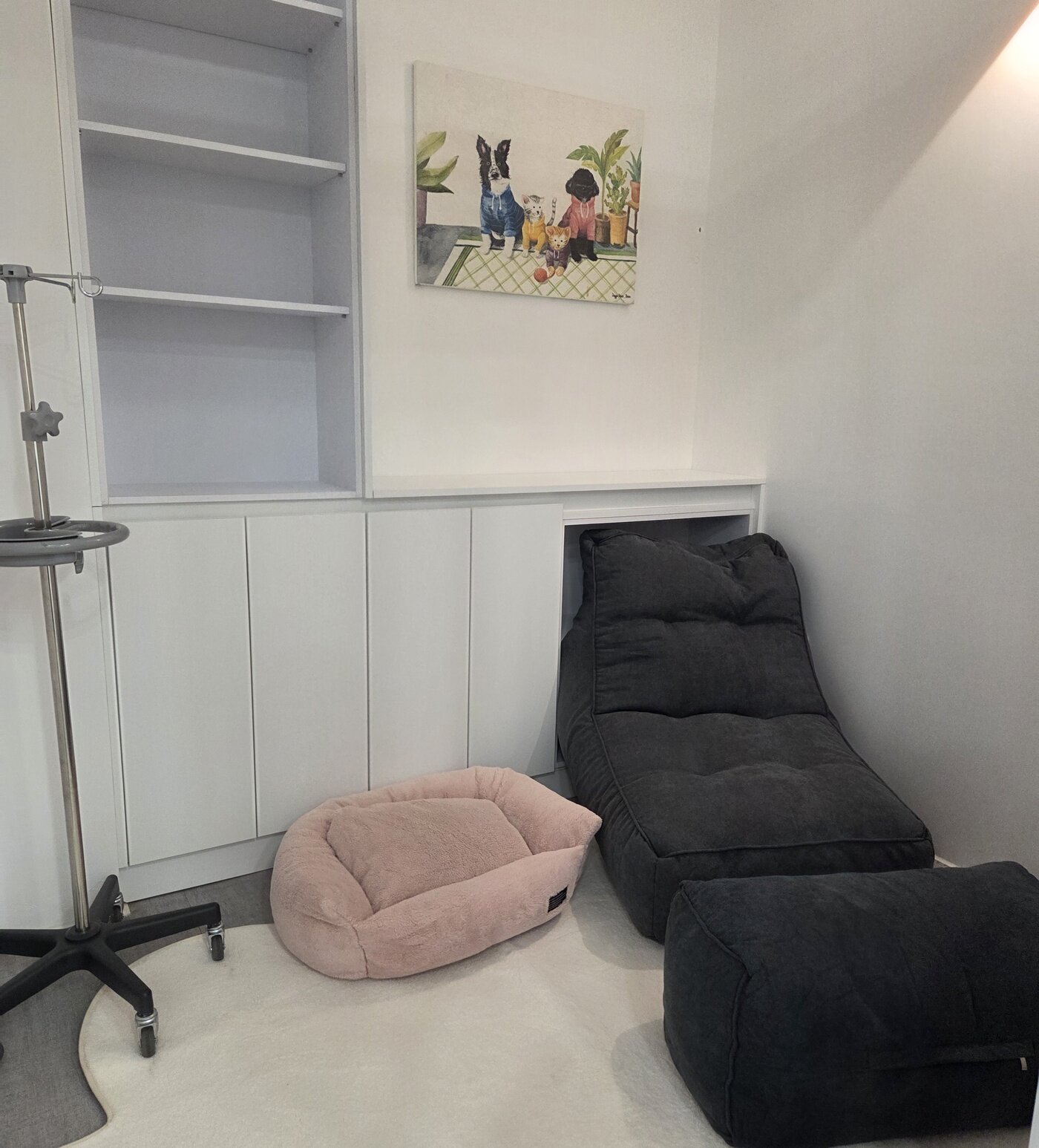 본문 이미지 - 1층 항노화 센터에 마련된 수액 처치실. 반려동물 가족이 편안하게 함께 할 수 있도록 넉넉한 공간을 자랑한다. ⓒ 뉴스1 한송아 기자