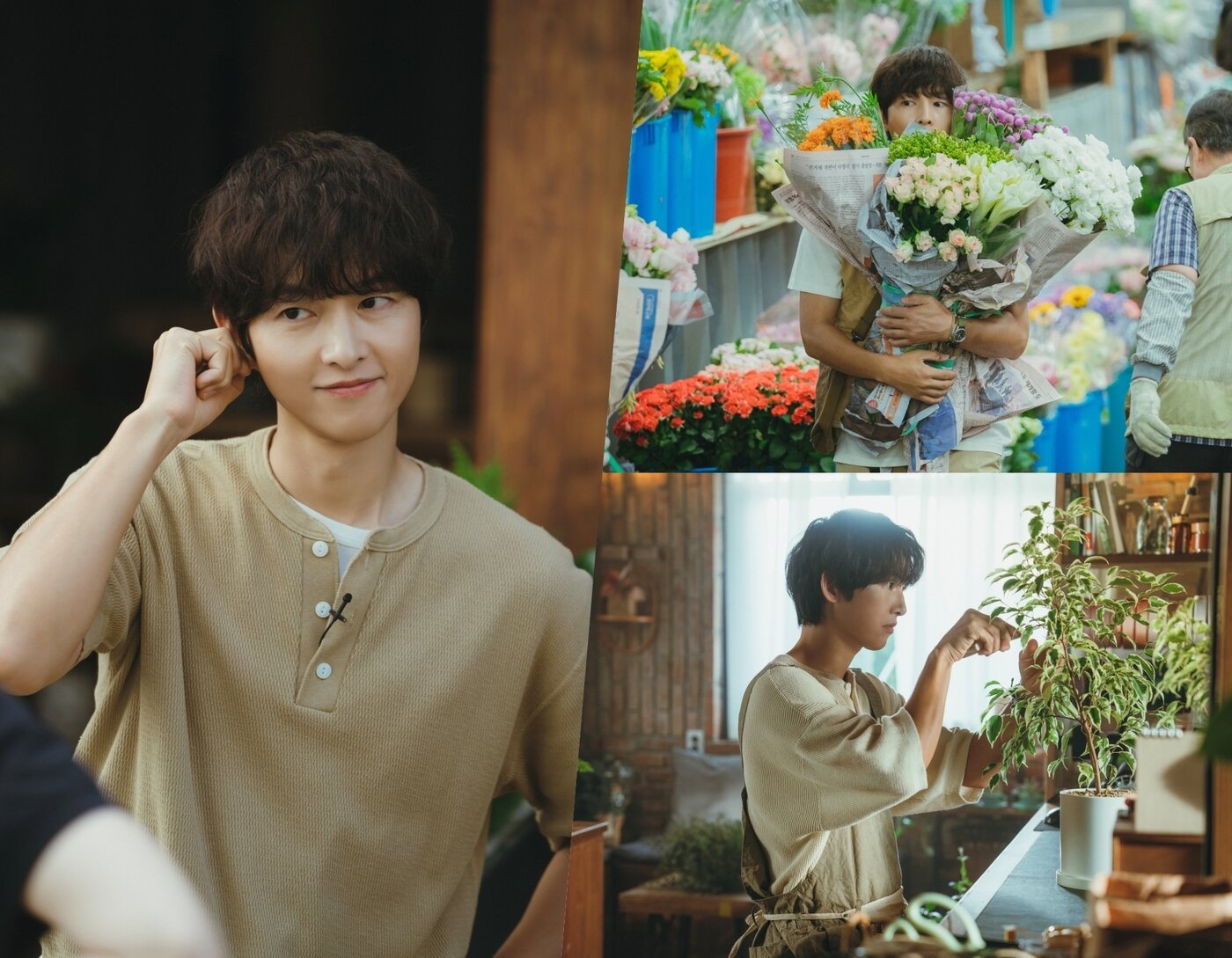 본문 이미지 - JTBC 마이유스