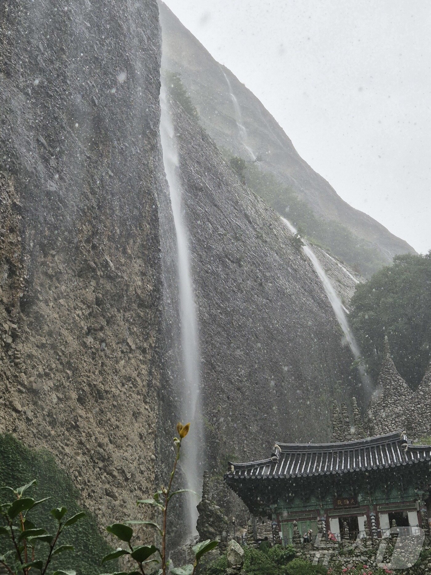 본문 이미지 - 12일 오후 2시 현재 전북 진안군 마이산에는 시간당 17mm의 비가 내리고 있다. 마이산 암마이봉은 많은 비가 내리면 폭포로 변신을 한다.2025.8.12/뉴스1 ⓒ News1 유승훈 기자