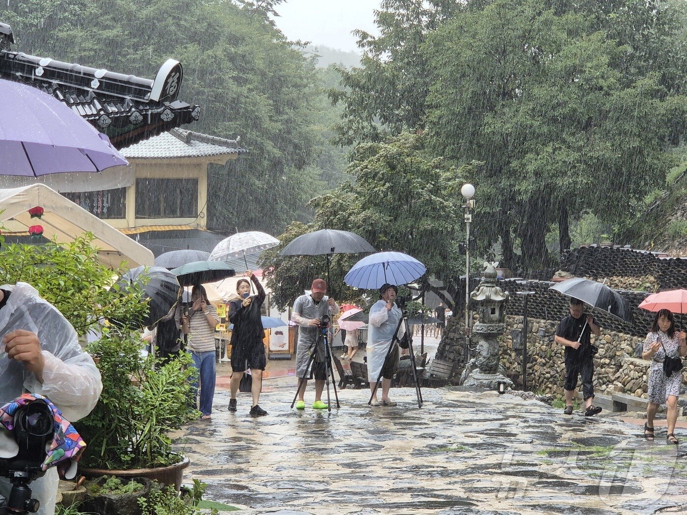 본문 이미지 - 12일 전북 진안군에 많은 비가 내리면서 마이산 암마이봉이 폭포로 변했다. 이 광경을 촬영하기 위해 사진 작가들이 이곳을 찾았다.2025.8.12/뉴스1 ⓒ News1 유승훈 기자