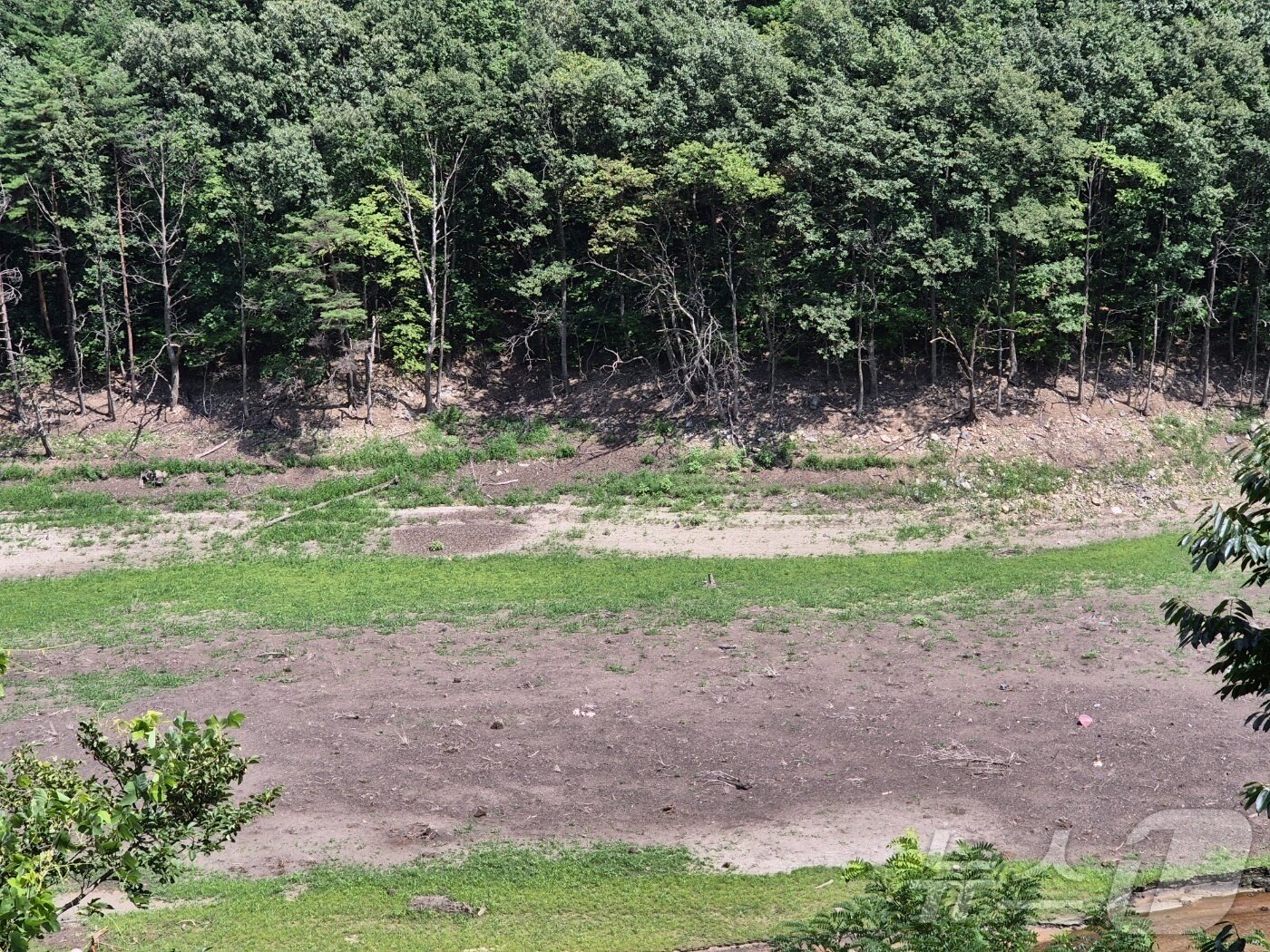 본문 이미지 - 최근 극심한 가뭄으로 강원 강릉시 성산면 오봉리 오봉저수지 인근 도마천의 바닥이 드러나 있다. &#40;뉴스1 DB&#41; ⓒ News1 윤왕근 기자