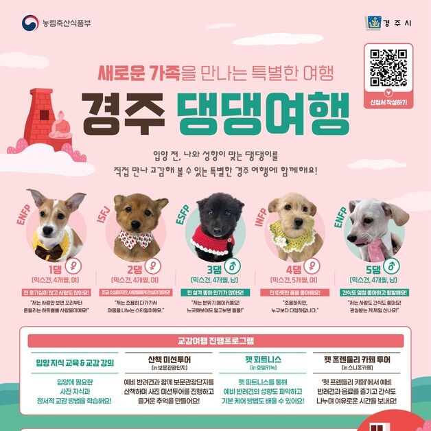 경주 보문단지서 9월6일 '유기견과 함께 하는 댕댕여행' 개최