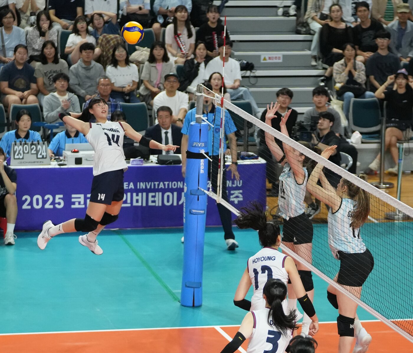 본문 이미지 -  한국 여자배구대표팀이 아르헨티나에 1-3으로 패했다.&#40;대한배구협회 제공&#41; 