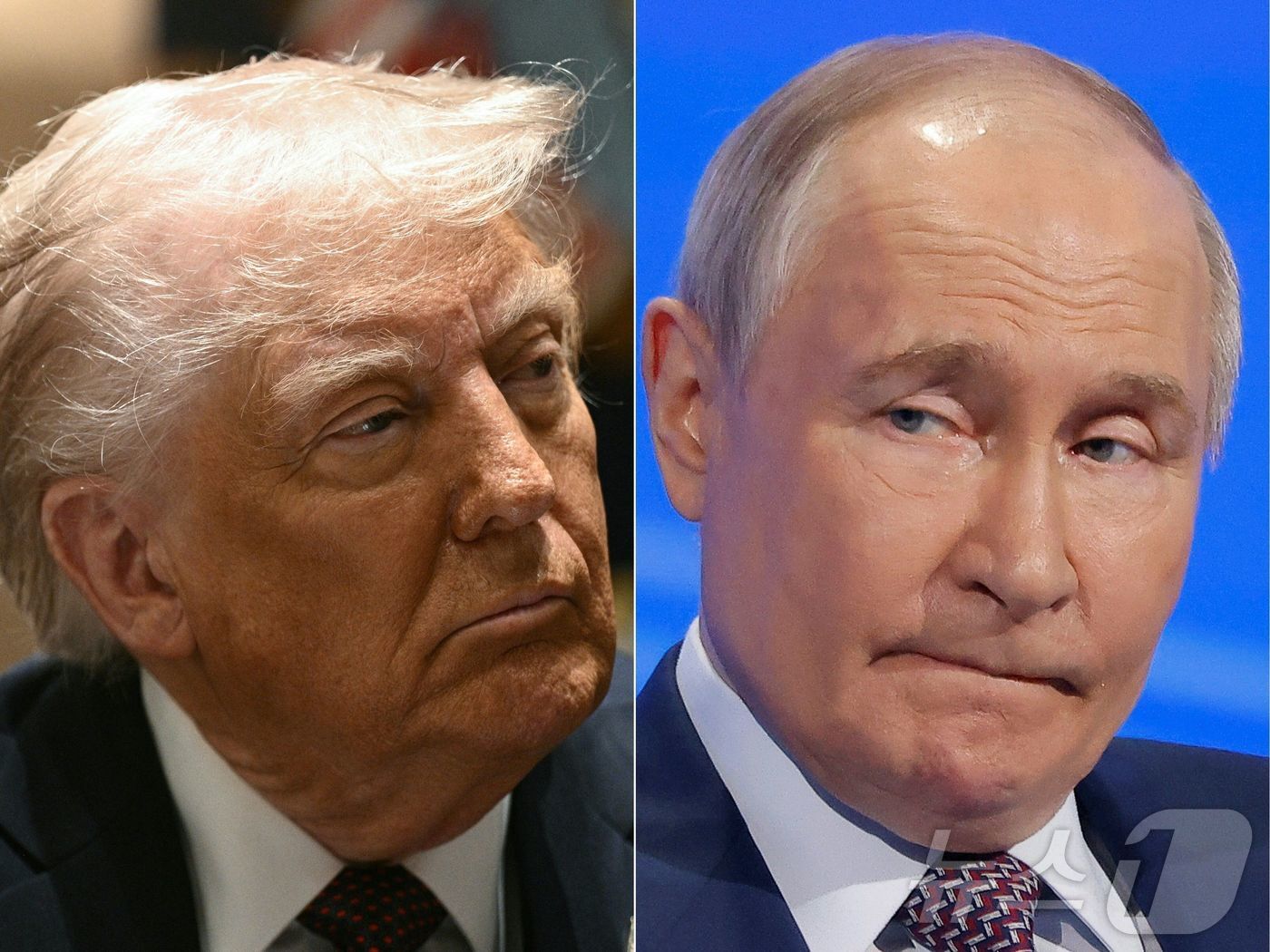 본문 이미지 - 도널드 트럼프 미국 대통령(왼쪽)과 블라디미르 푸틴 러시아 대통령 ⓒ AFP=뉴스1