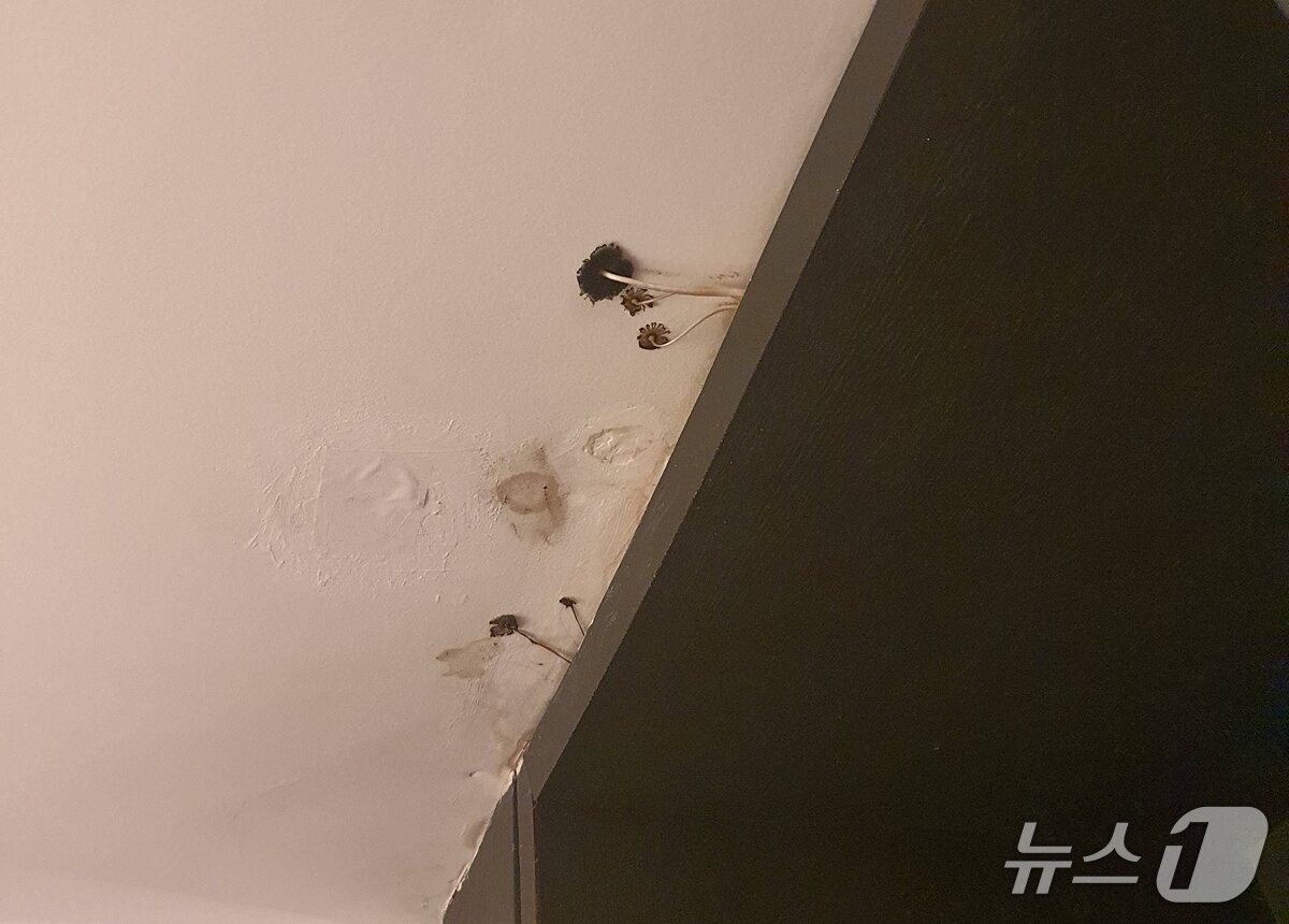 본문 이미지 - (블라인드 갈무리)