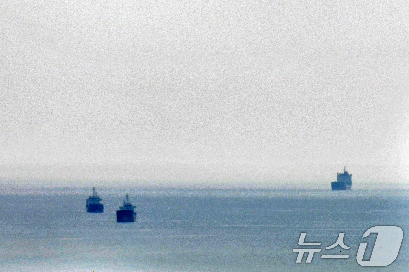 (포항=뉴스1) 최창호 기자 = 13일 오전 경북 포항시 앞 바다에서 원료 운반선 등 대형 선박들이 정박해 있다.   2025.8.13/뉴스1