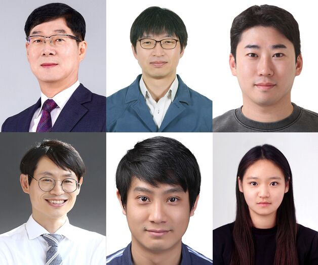 피부 접촉 없이 생체 내부 3D 영상 구현 기술 세계 최초 개발