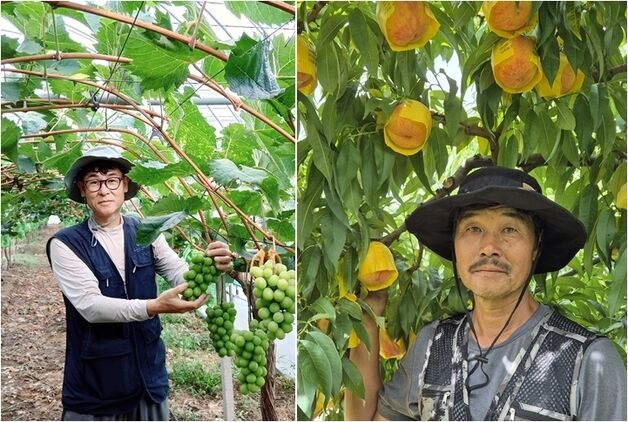 옥천군, 포도왕 차재동씨·복숭아왕 황기택씨 선정