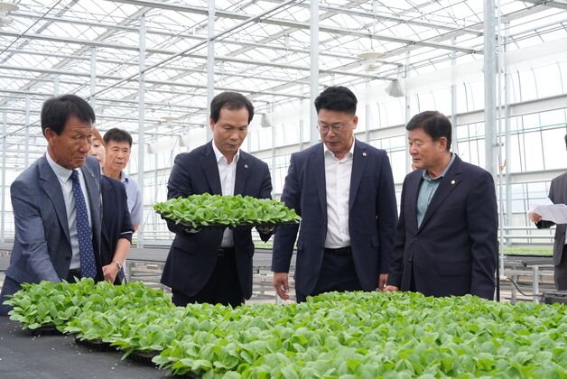 음성군, 다올찬수박 공정육묘장 준공…1기작 65만주 공급