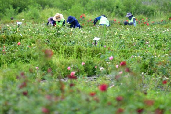 [오늘의 날씨] 대구·경북(14일,목)…낮 35도 '찜통더위' 속 소나기